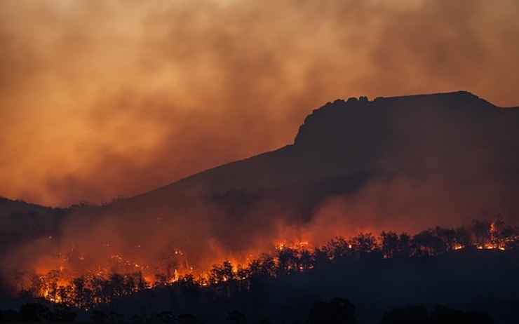 Un incendie en Australie causé par le réchauffement climatique 
