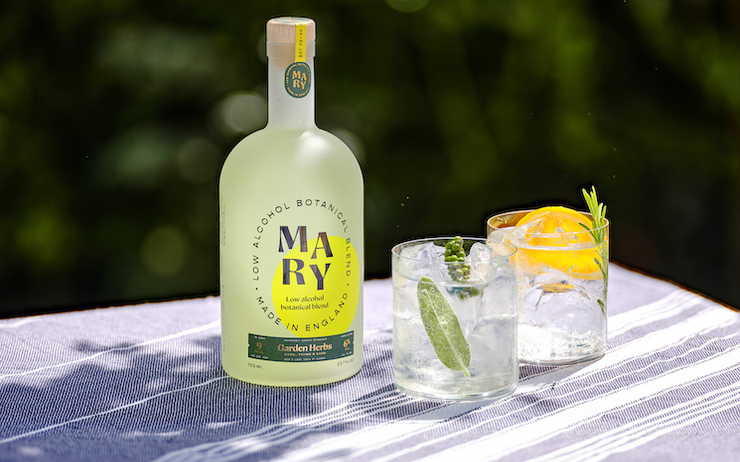 Gin Drink Mary Promo