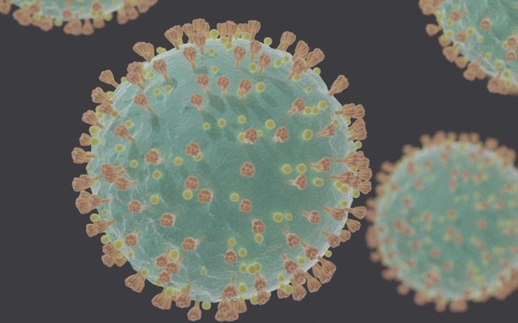 Coronavirus virus bactérie covid 19
