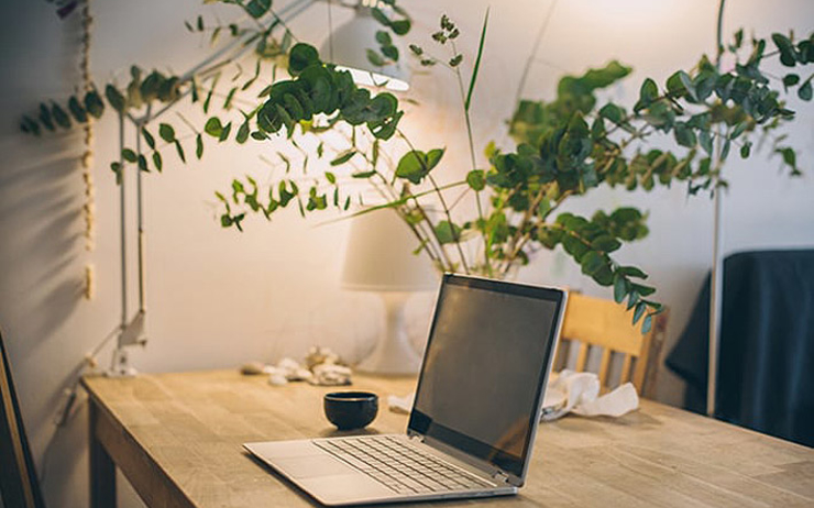 Bureau avec un ordinateur et une plante