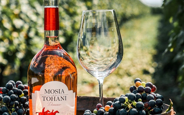 Le vignoble de Tohani en Roumanie invite ses clients à participer aux vendanges