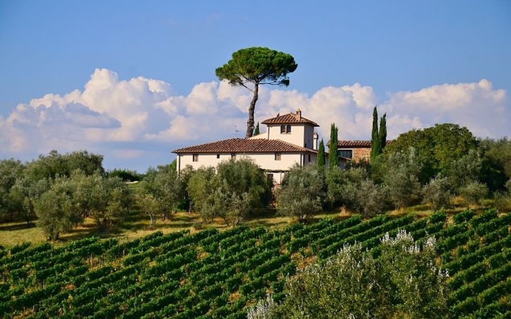 Vignobles dans la région de Toscane en Italie