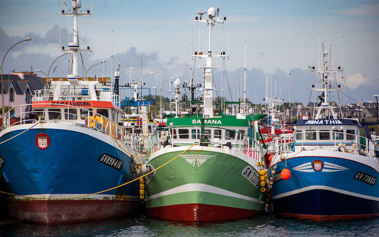 Des bateaux de pêche sont alignés au port