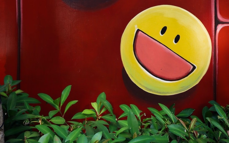 smiley jaune dessiné sur une cabane