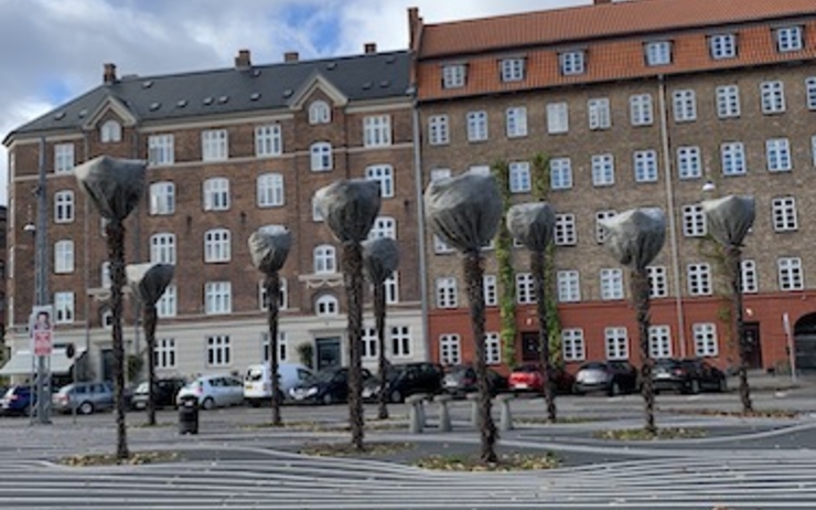 palmiers à Copenhague recouverts et les statues danoises à Hong Kong