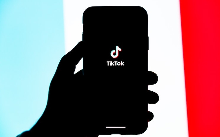 L'application TikTok et le drapeau français