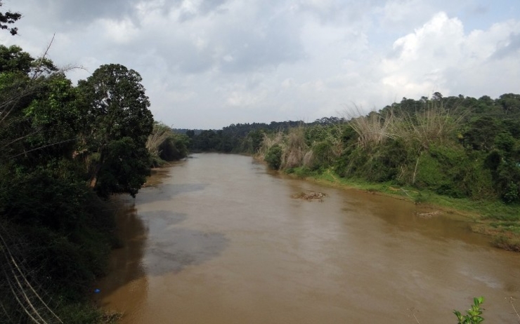Le fleuve Kaveri à l'origine de la marche pour l'eau