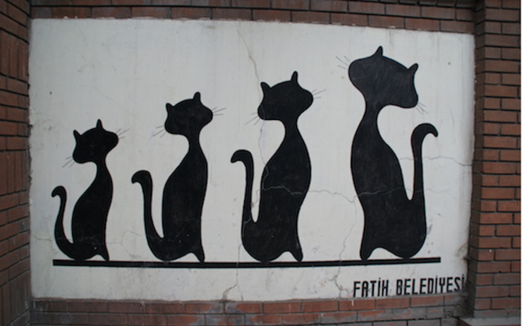 Mur décoré de chats dans le quartier Fatih