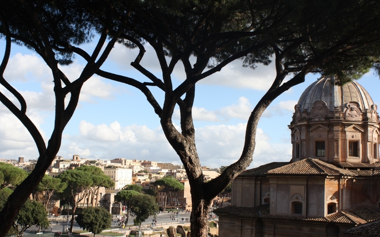 Deux pins parasol à Rome