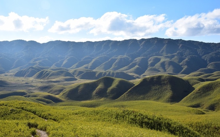 La vallée de dzukou, extrêmement verte et vallonée 