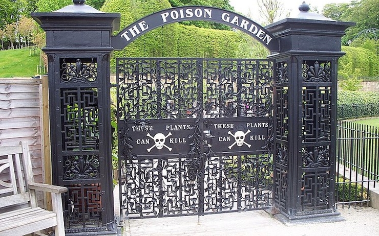 The poison garden Angleterre legrandjd plantes poison 
