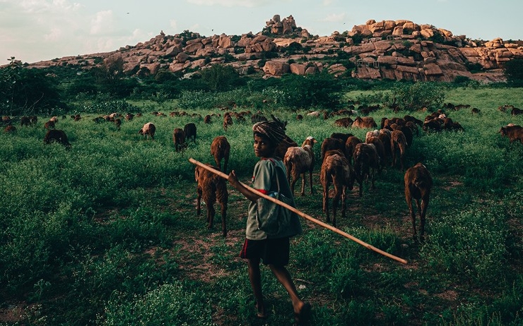 Un paysage en Inde par Julien Romano photographe amateur
