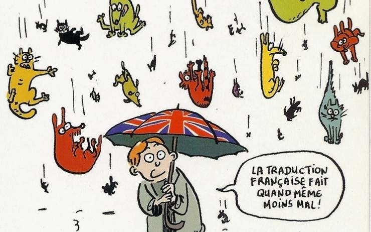 illustration de l'expression : It's raining cats and dogs !