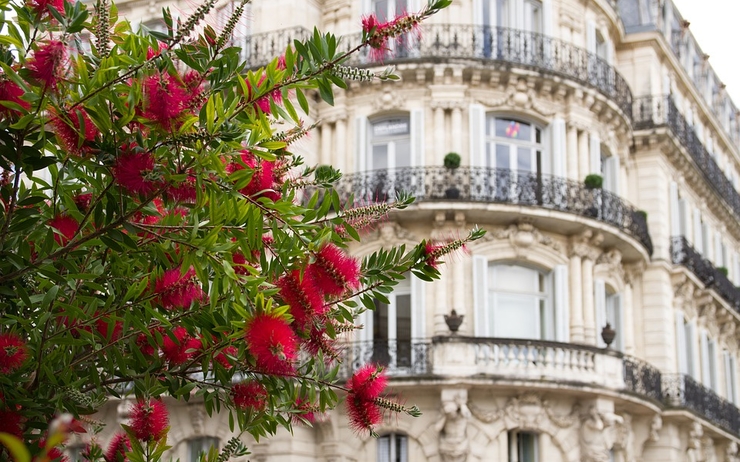 Batment Montpellier avec fleurs 