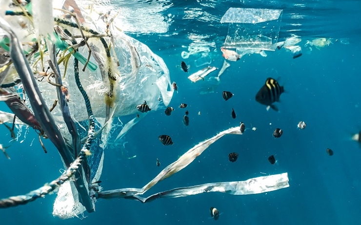 pollution plastique en espagne