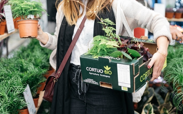 une femme porte une sélection de plantes lors de la vente flash maison bouture à madrid