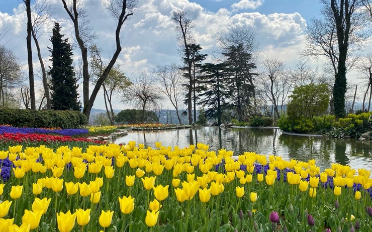 Des tulipes au parc d'Emirgan à Istanbul