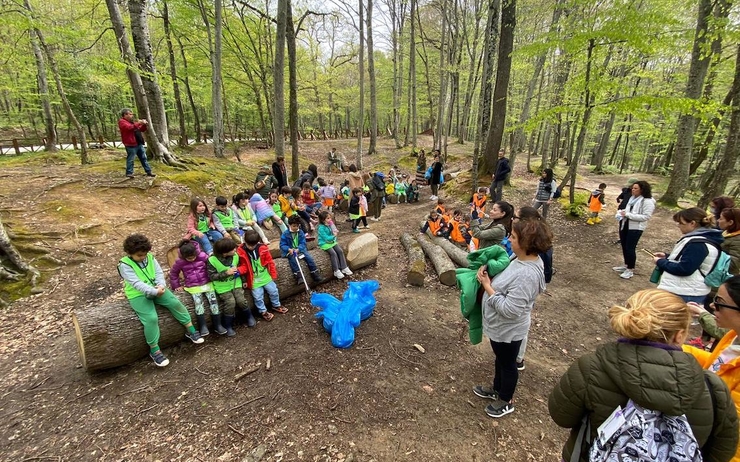 élèves de Petit Génie Istanbul dans la forêt Belgrade