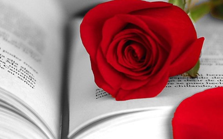 la rose et un livre, symboles de la diada de san Jordi :