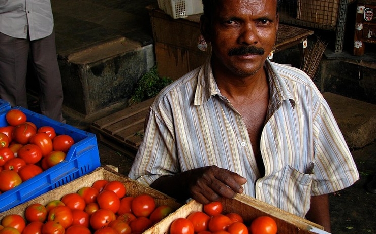 Vendeur de tomates au marché de Koyambedu à Chennai 
