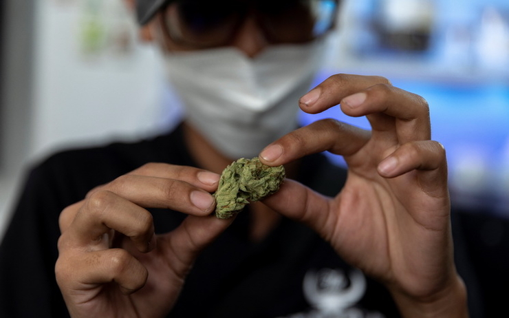 Cannabis-Thailande-Depenalisation