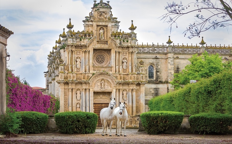 deux chevaux andalous devant un monument à Séville, en Espagne