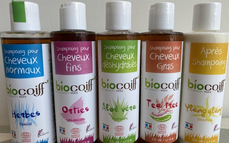 Cinq types de shampoings bio 