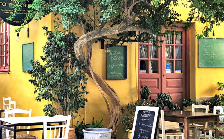 Des tables sous un arbre dans une taverne en Grèce