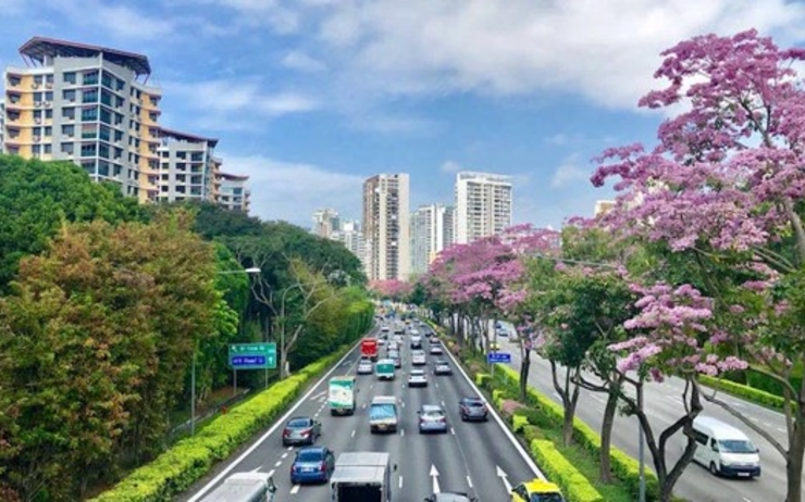 autoroute fleurie cite jardin singapour