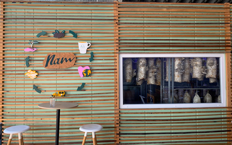  Nãm, ferme urbaine à Lisbonne de culture de champignons