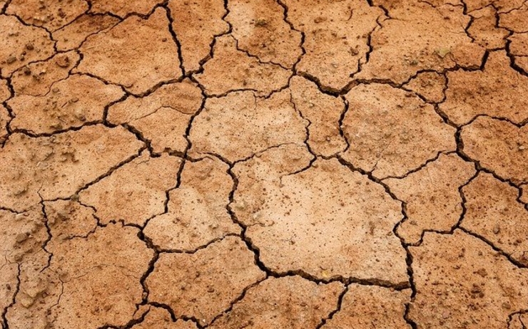 état de calamité en raison de la sécheresse en roumanie