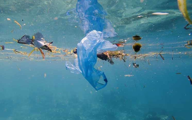 plastique en mer petite ministere de l'environnenet 