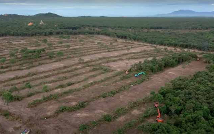 déforestation cambodge