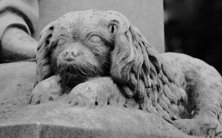 pierre tombale d'un chien
