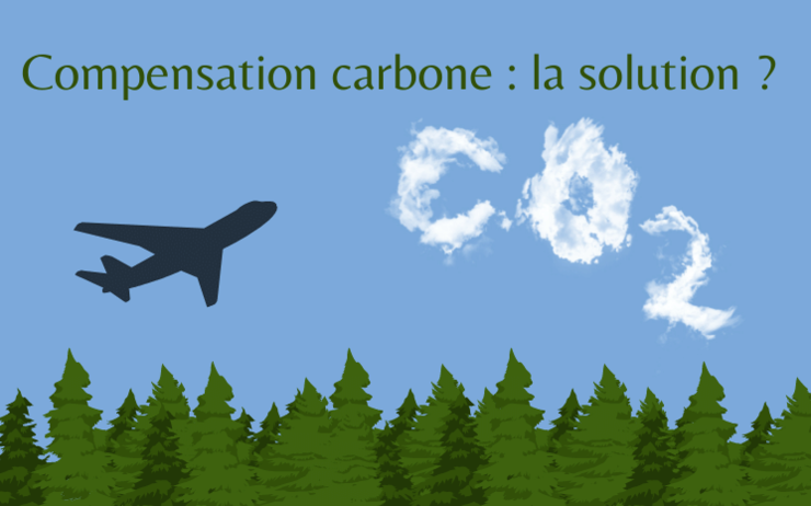 compensation carbone realite