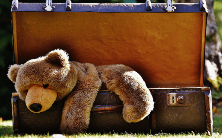 ours en peluche dans une valise 