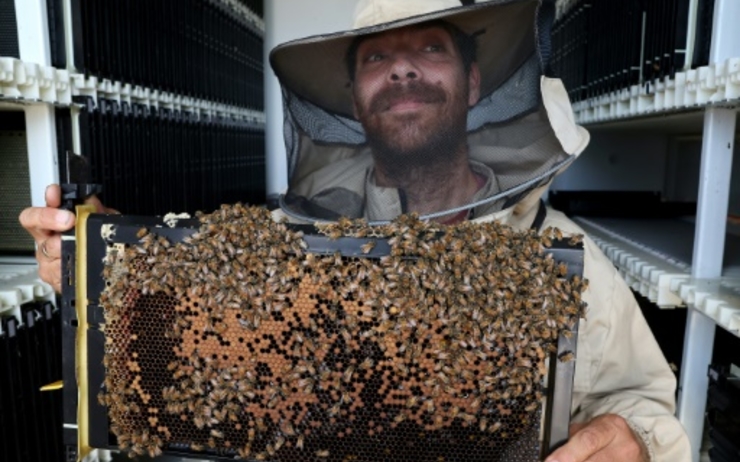 un apiculteur 