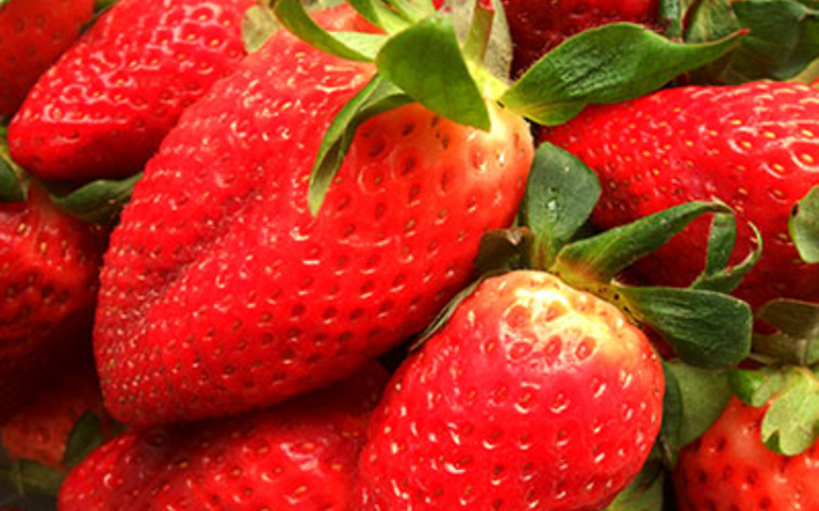 erdbeerbowle fraises apéritif Allemagne